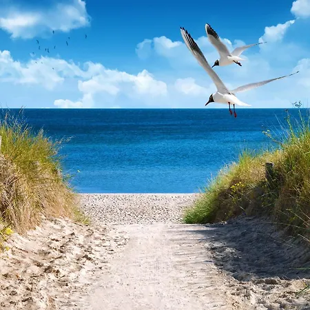 Hébergement de vacances 2 Sea C 89 *